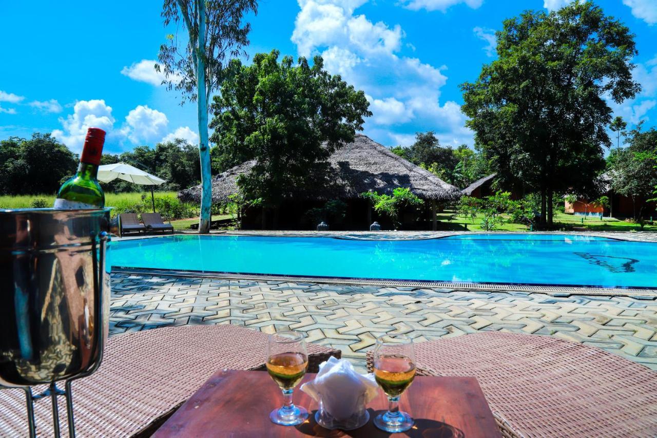Cloudz Sigiriya Hotel Exterior photo